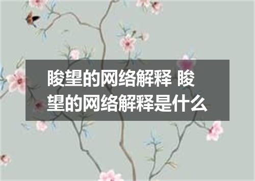 睃望的网络解释 睃望的网络解释是什么