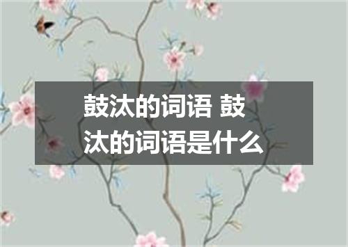 鼓汰的词语 鼓汰的词语是什么