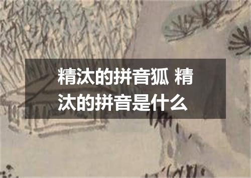 精汰的拼音狐 精汰的拼音是什么