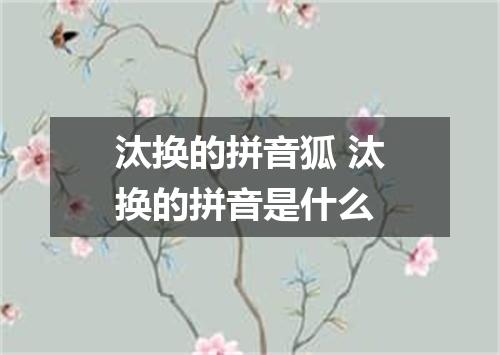 汰换的拼音狐 汰换的拼音是什么