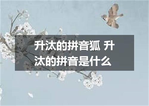 升汰的拼音狐 升汰的拼音是什么