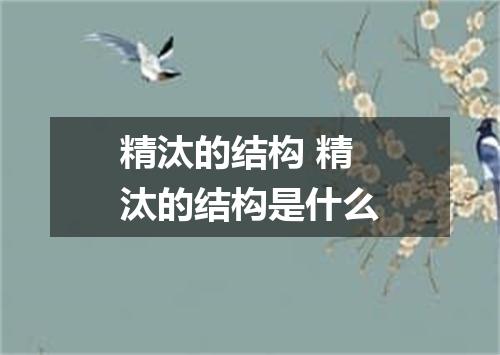 精汰的结构 精汰的结构是什么