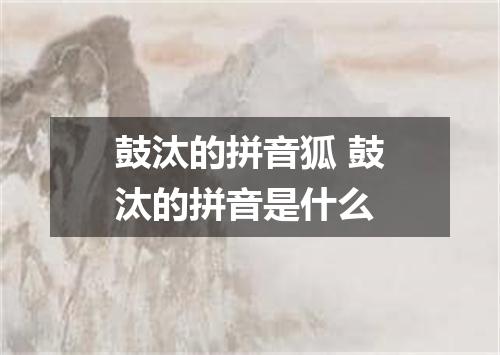 鼓汰的拼音狐 鼓汰的拼音是什么