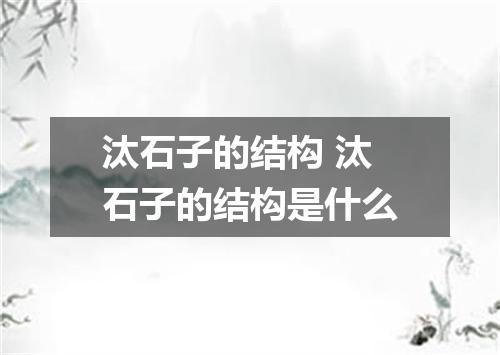汰石子的结构 汰石子的结构是什么