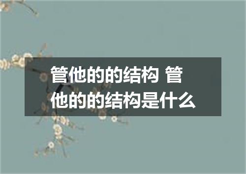 管他的的结构 管他的的结构是什么