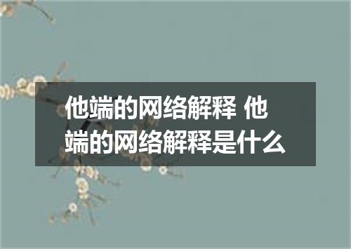 他端的网络解释 他端的网络解释是什么