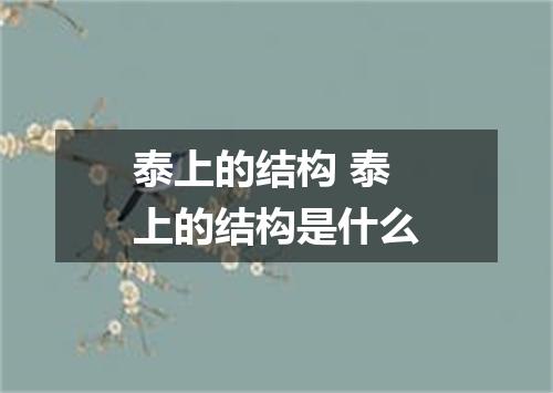 泰上的结构 泰上的结构是什么