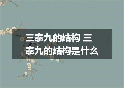 三泰九的结构 三泰九的结构是什么