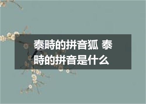 泰畤的拼音狐 泰畤的拼音是什么