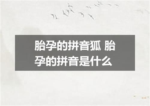 胎孕的拼音狐 胎孕的拼音是什么