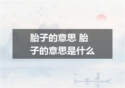 胎子的意思 胎子的意思是什么