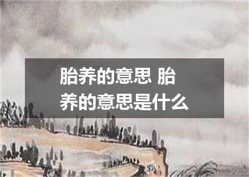胎养的意思 胎养的意思是什么