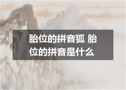 胎位的拼音狐 胎位的拼音是什么
