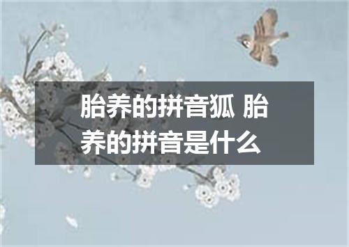 胎养的拼音狐 胎养的拼音是什么