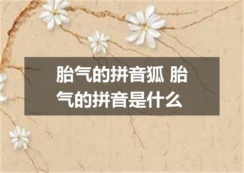 胎气的拼音狐 胎气的拼音是什么