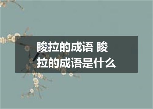 睃拉的成语 睃拉的成语是什么