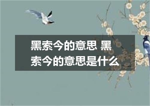 黑索今的意思 黑索今的意思是什么