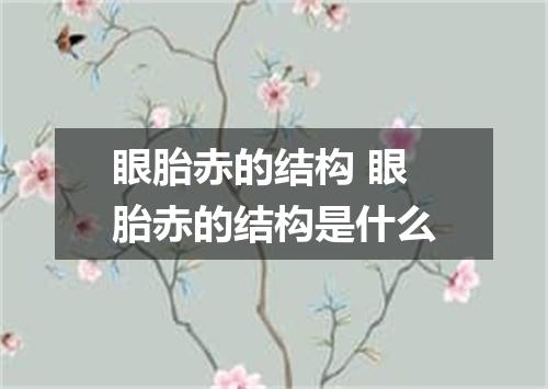 眼胎赤的结构 眼胎赤的结构是什么
