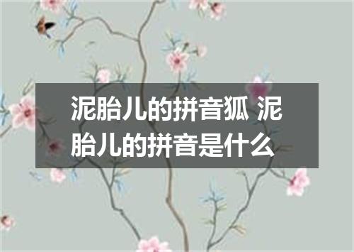 泥胎儿的拼音狐 泥胎儿的拼音是什么