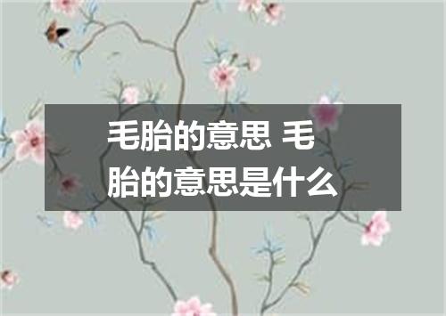 毛胎的意思 毛胎的意思是什么