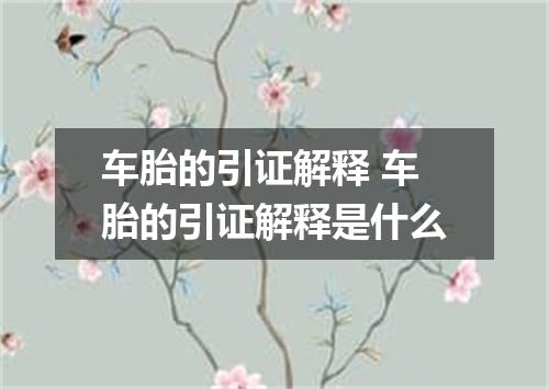 车胎的引证解释 车胎的引证解释是什么