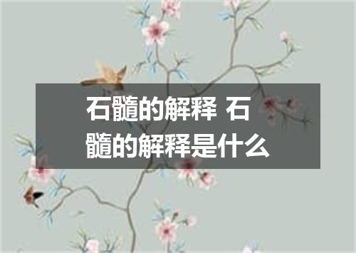 石髓的解释 石髓的解释是什么