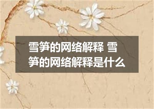 雪笋的网络解释 雪笋的网络解释是什么