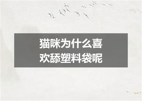 猫咪为什么喜欢舔塑料袋呢