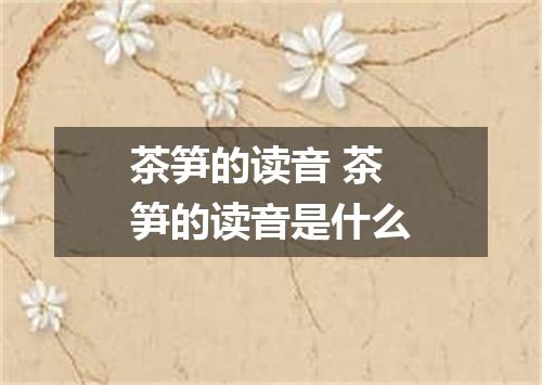 茶笋的读音 茶笋的读音是什么