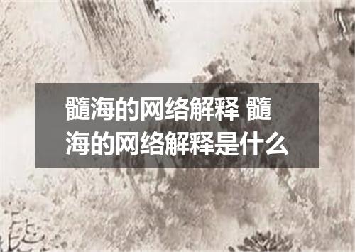 髓海的网络解释 髓海的网络解释是什么