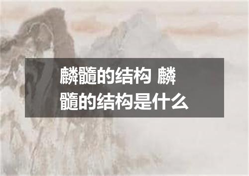 麟髓的结构 麟髓的结构是什么