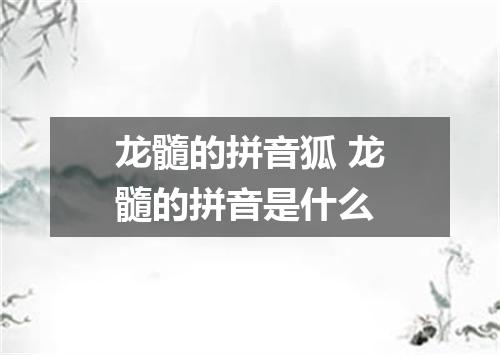 龙髓的拼音狐 龙髓的拼音是什么
