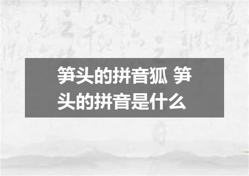 笋头的拼音狐 笋头的拼音是什么