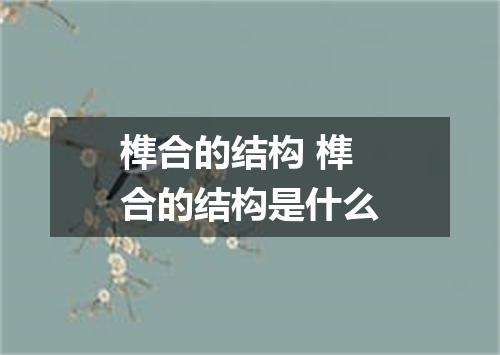 榫合的结构 榫合的结构是什么