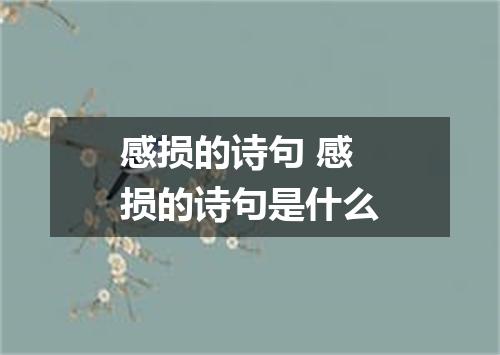感损的诗句 感损的诗句是什么
