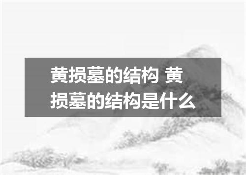 黄损墓的结构 黄损墓的结构是什么