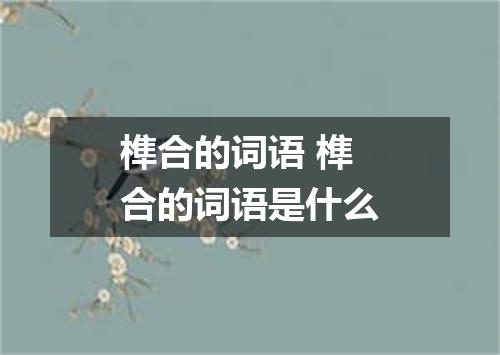 榫合的词语 榫合的词语是什么