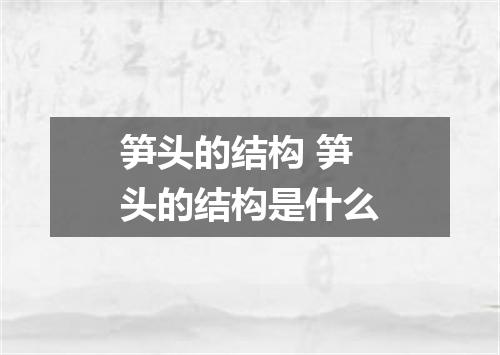 笋头的结构 笋头的结构是什么