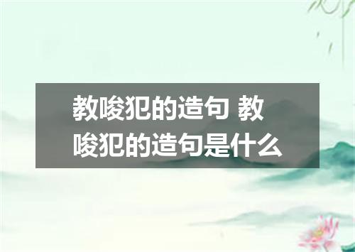 教唆犯的造句 教唆犯的造句是什么