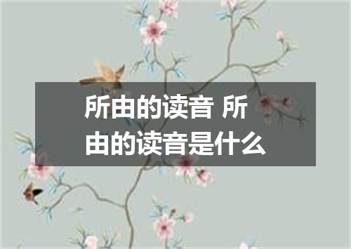 所由的读音 所由的读音是什么