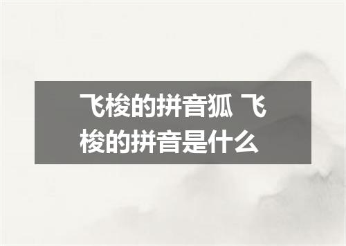 飞梭的拼音狐 飞梭的拼音是什么