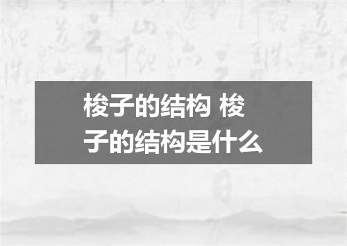梭子的结构 梭子的结构是什么