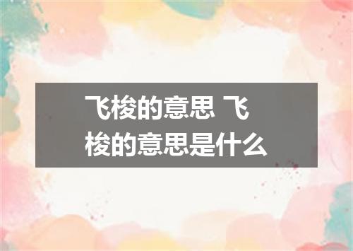 飞梭的意思 飞梭的意思是什么
