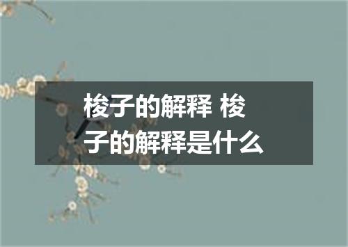 梭子的解释 梭子的解释是什么