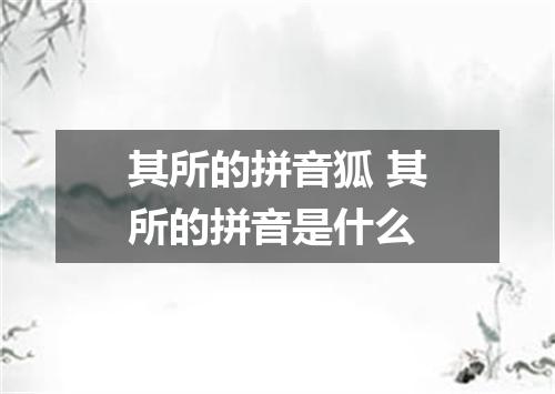 其所的拼音狐 其所的拼音是什么