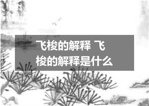 飞梭的解释 飞梭的解释是什么