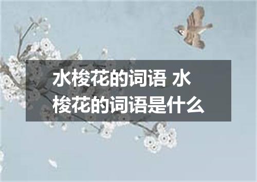 水梭花的词语 水梭花的词语是什么
