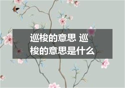 巡梭的意思 巡梭的意思是什么