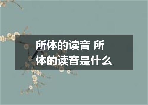 所体的读音 所体的读音是什么