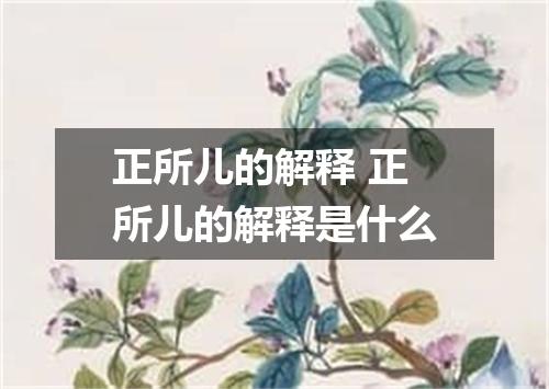 正所儿的解释 正所儿的解释是什么